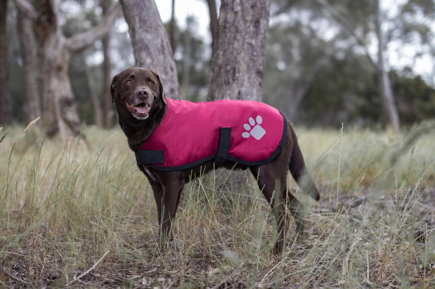 Ruff n Rugged Utility Coat Raspberry