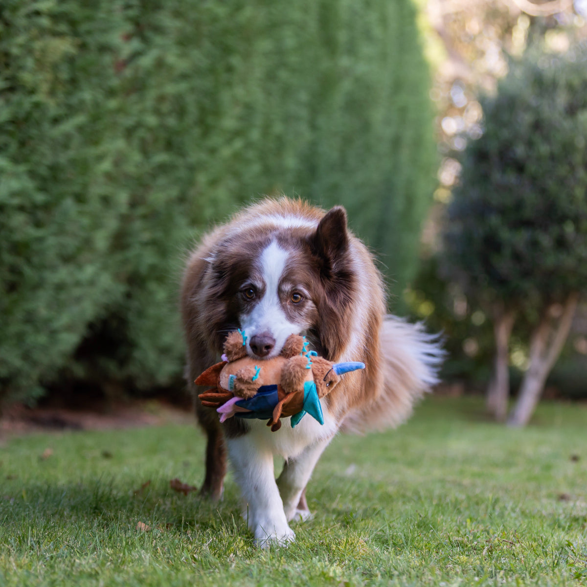 Lexi & Me Snuffle Echidna Dog Toy