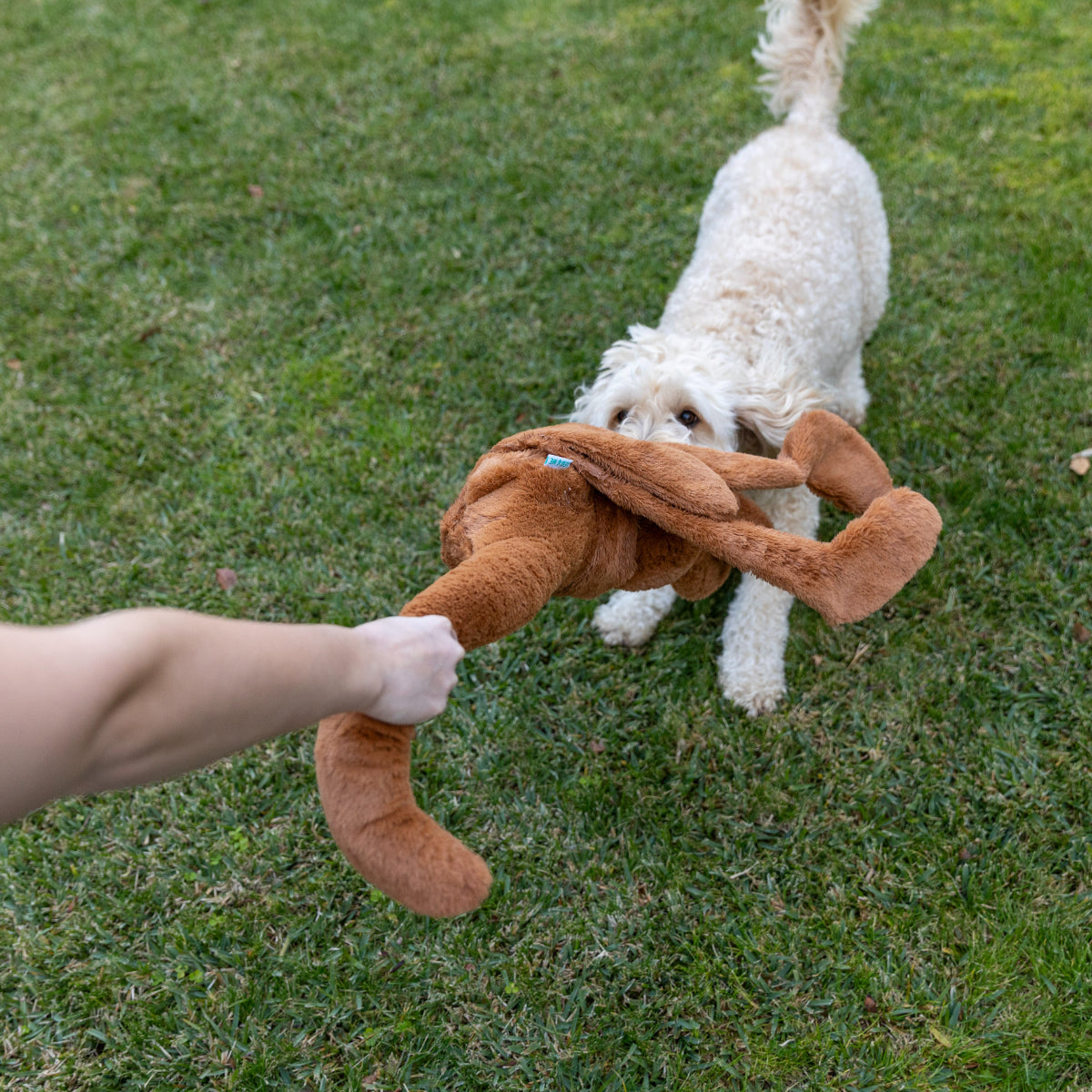 Lexi & Me Long Limb Kangaroo Dog Toy