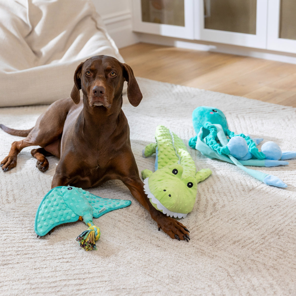 Lexi & Me Multi-Squeaker Crocodile Dog Toy