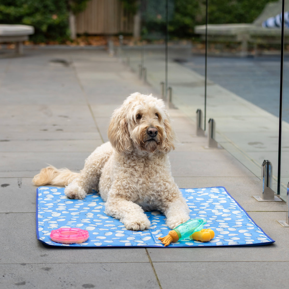 Lexi & Me Cooling Donut Dog Toy