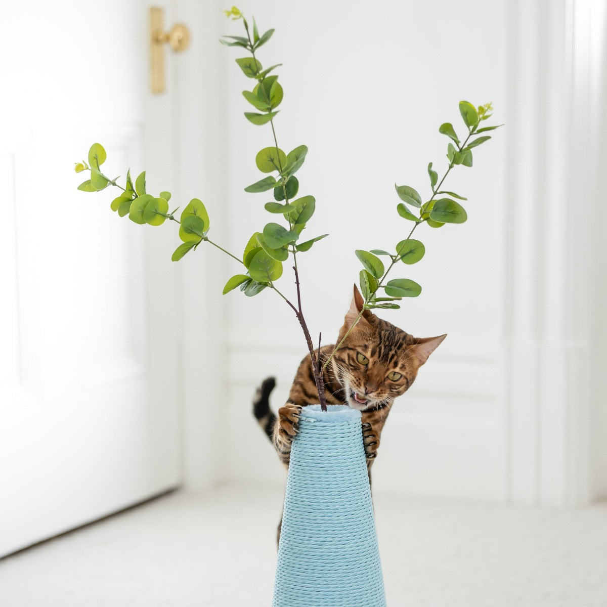 Petpals Flower Vase Cat Scratcher