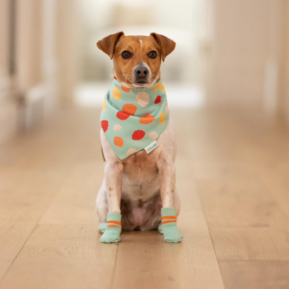 Lexi & Me Dog Grippy Socks Orange Mint