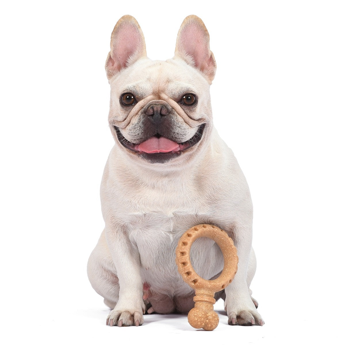 Arm & Hammer Barkies Ring Dog Toy
