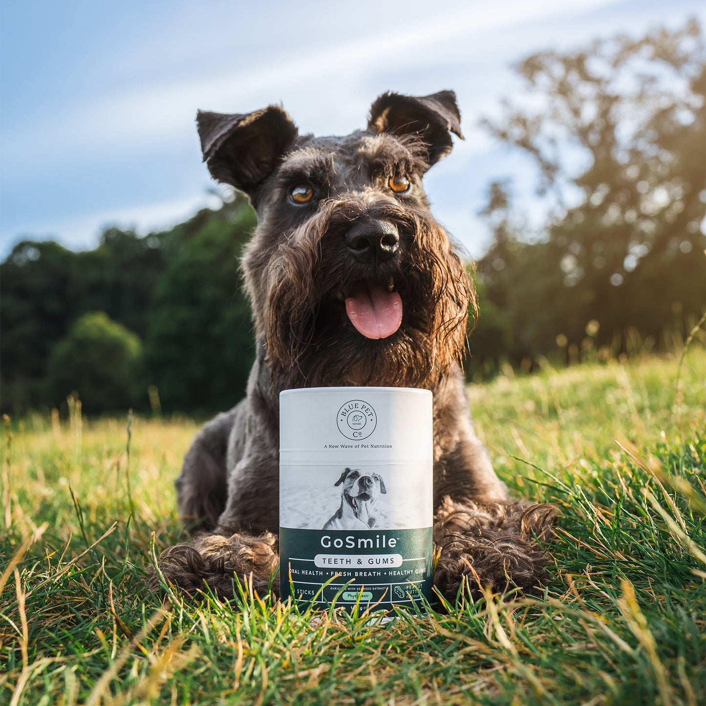 GoSmile Teeth & Gum Dog Supplement Sticks
