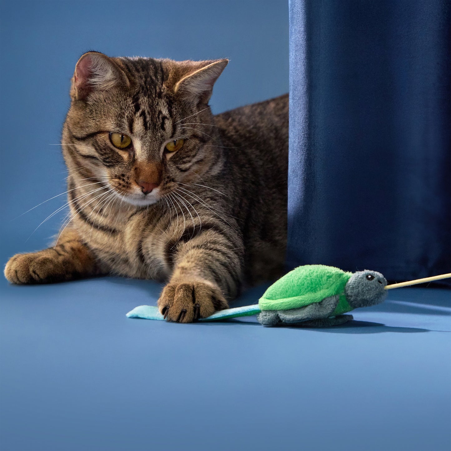 Grrreen Tilly the Turtle Teaser Cat Toy