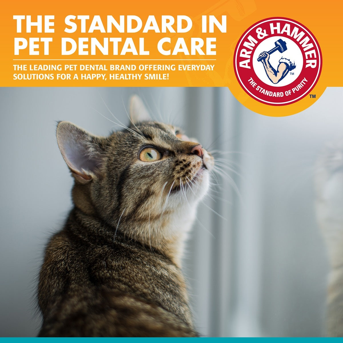 Arm & Hammer Fresh Breath Dental Kit for Cats