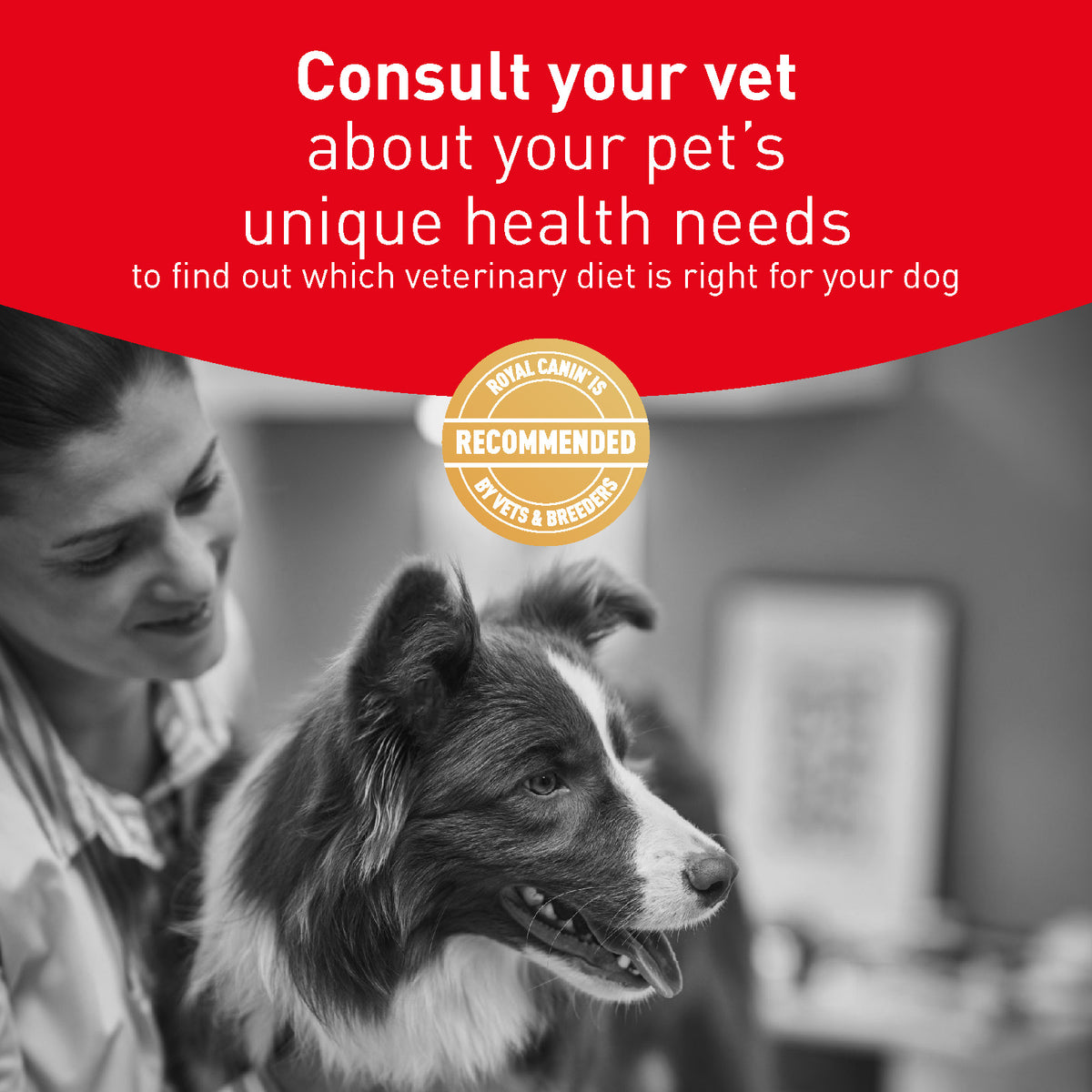 Royal Canin Vet Diet Glycobalance Dry Dog Food