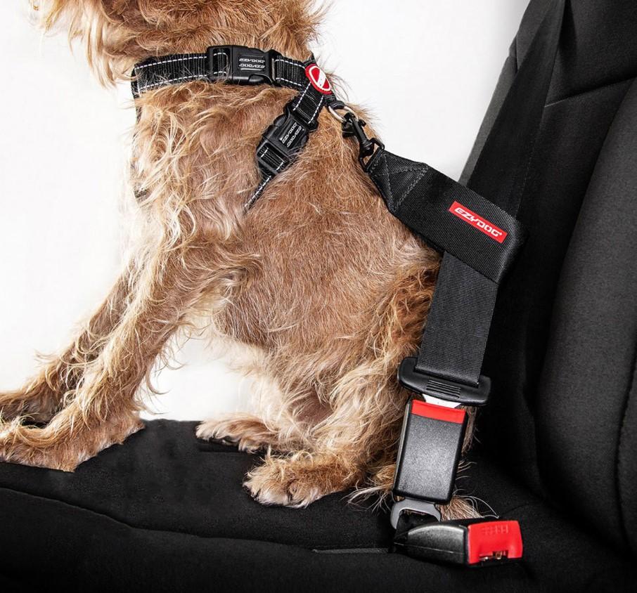 Ezydog Car Seat Belt Restraint