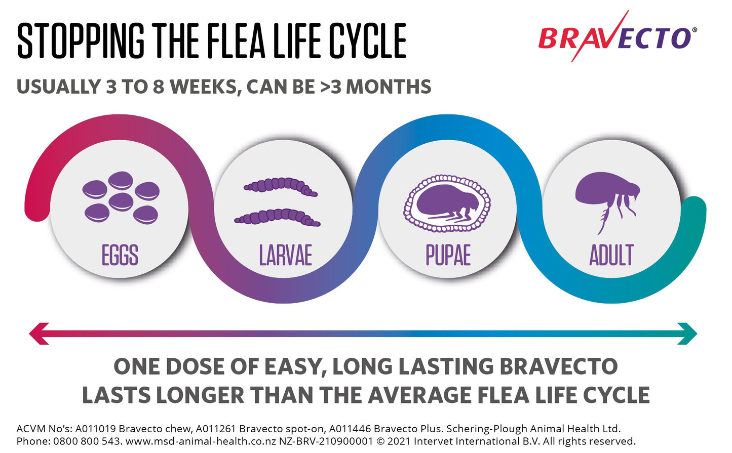 Bravecto Flea & Tick Chewable Treatment For Large Dogs 20-40kg