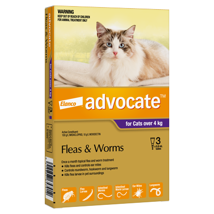 Advocate Spot-On Flea & Worm Treatment for Large Cats 4kg+