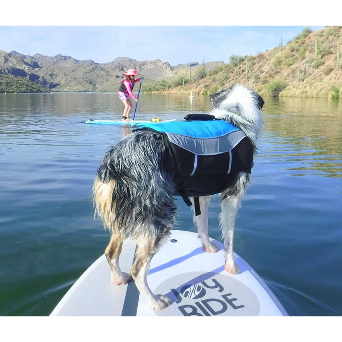 Alcott Mariner Dog Life Jacket