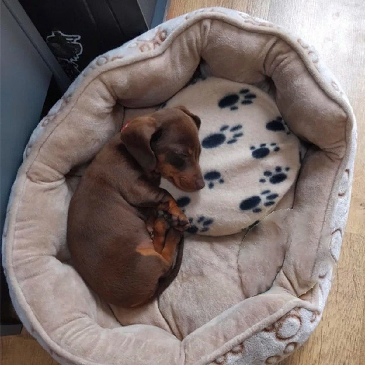 Snugglesafe Microwave Heatpad