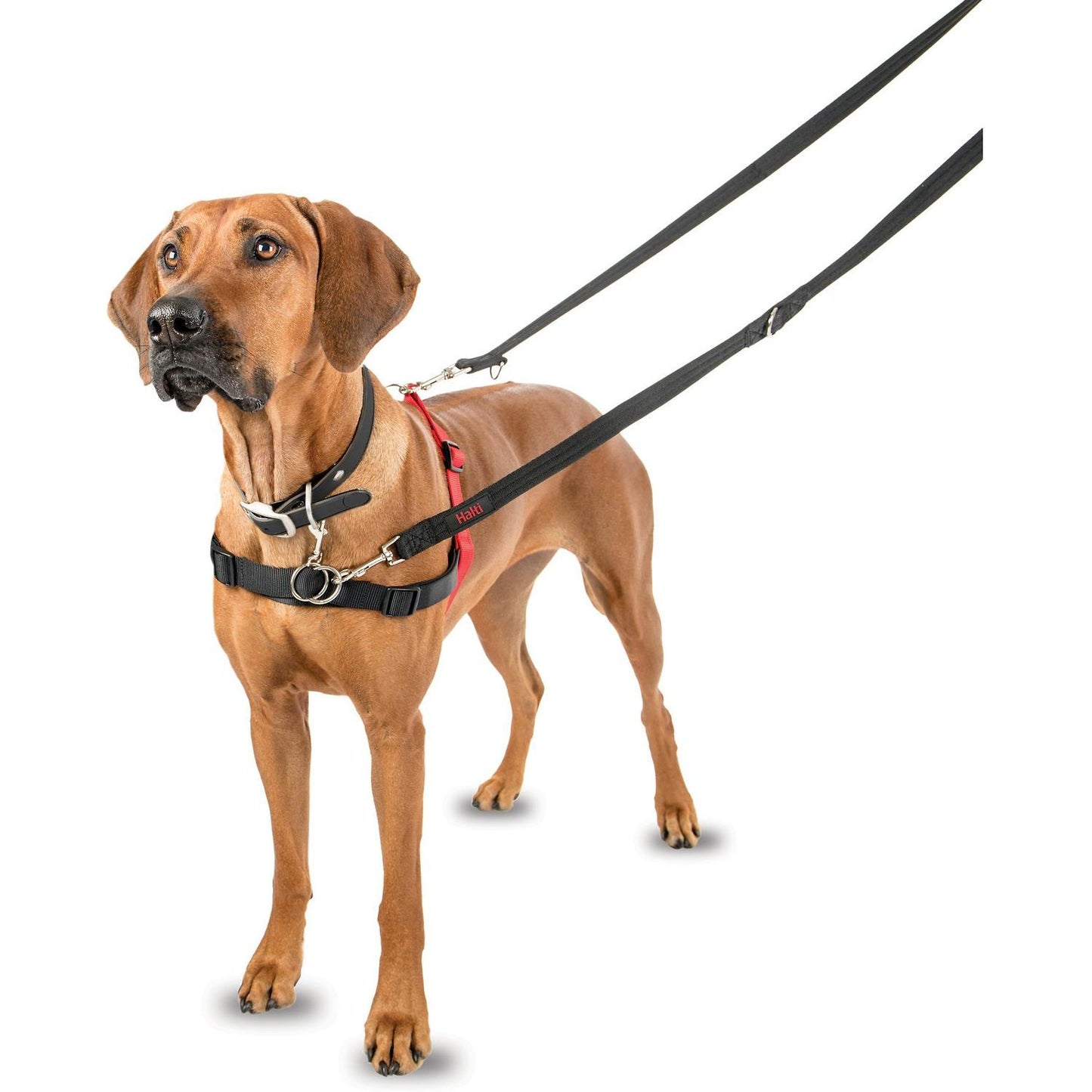 Halti Front Control Harness