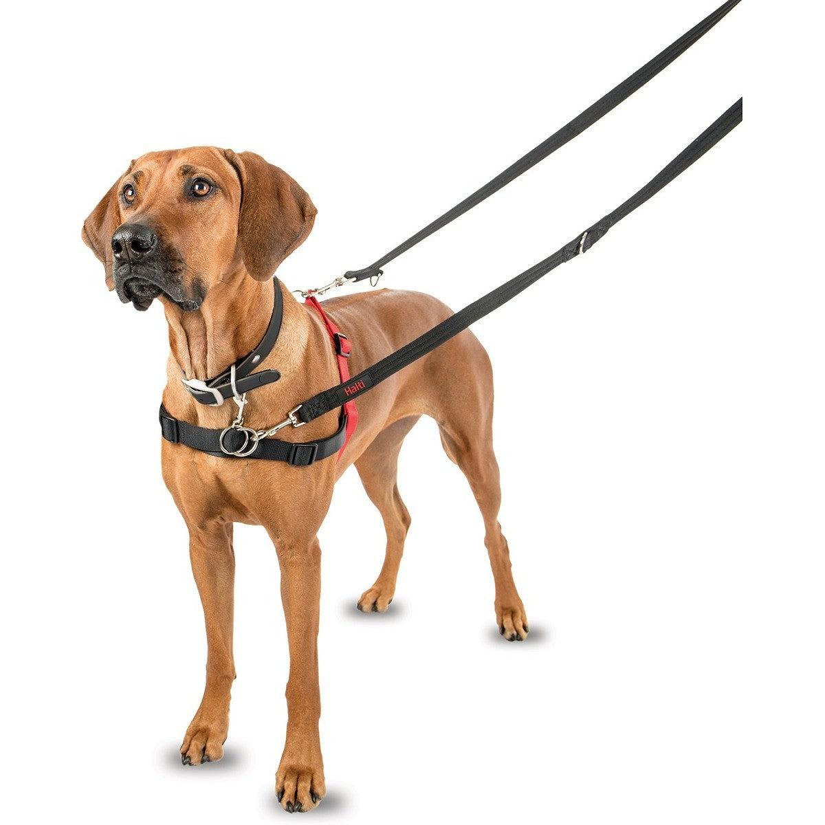 Halti Front Control Harness