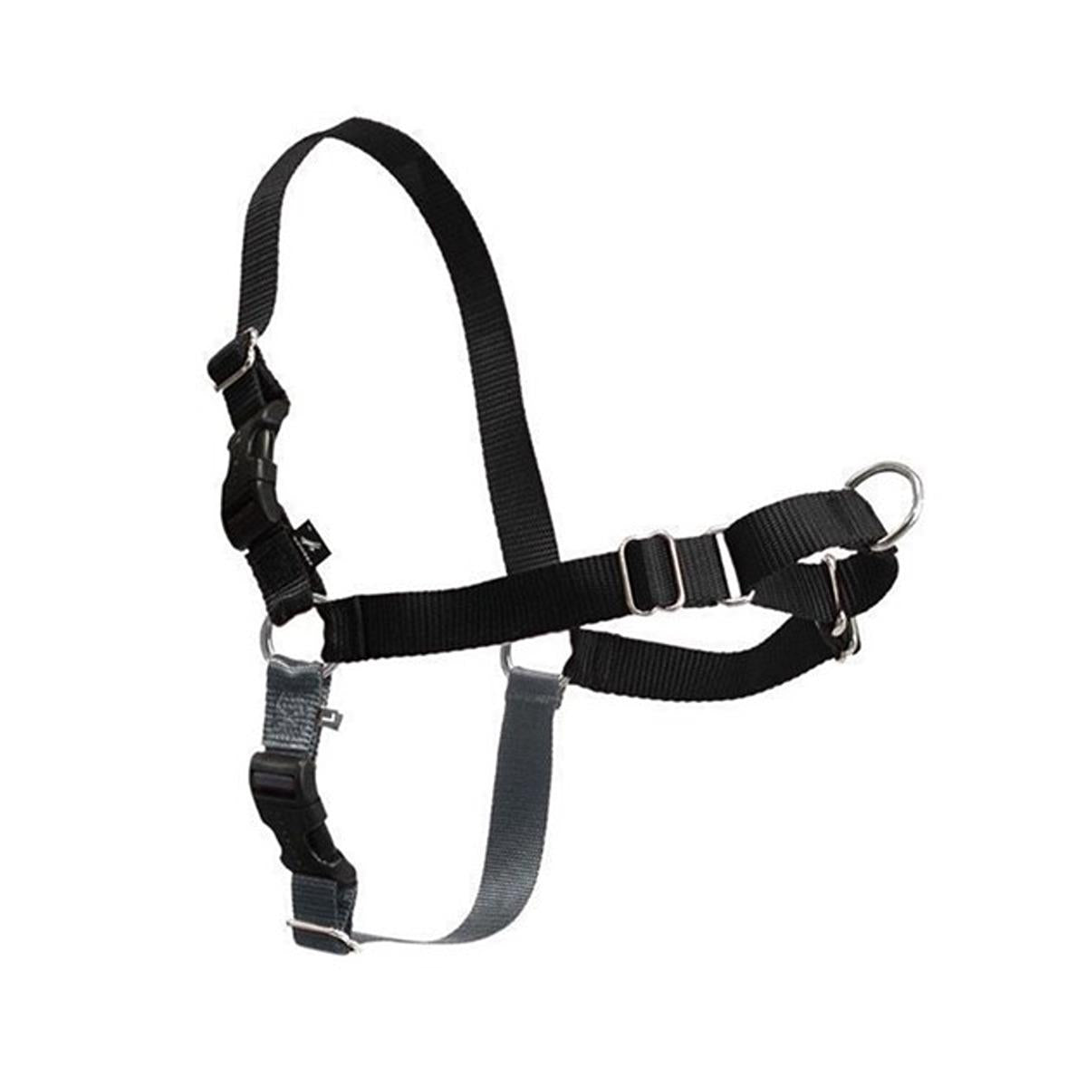 Gentle Leader Front Lead Harness