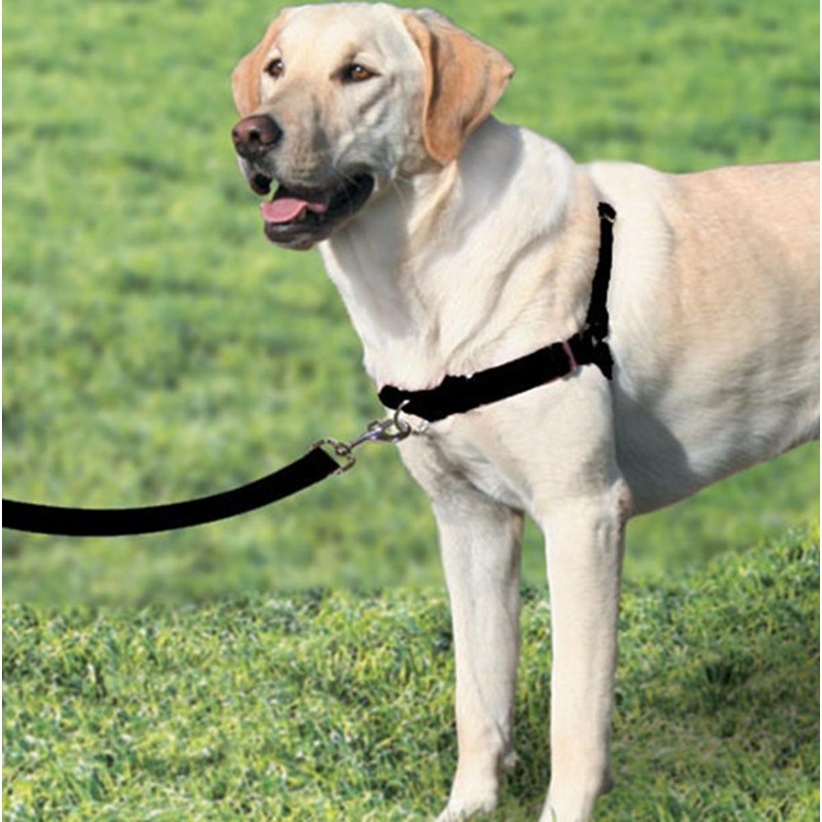 Gentle Leader Front Lead Harness