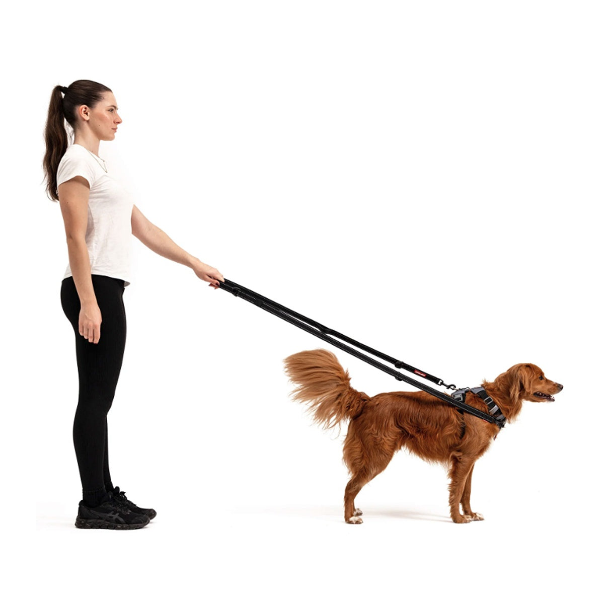 EzyDog Vario 6 Multifunctional Dog Lead