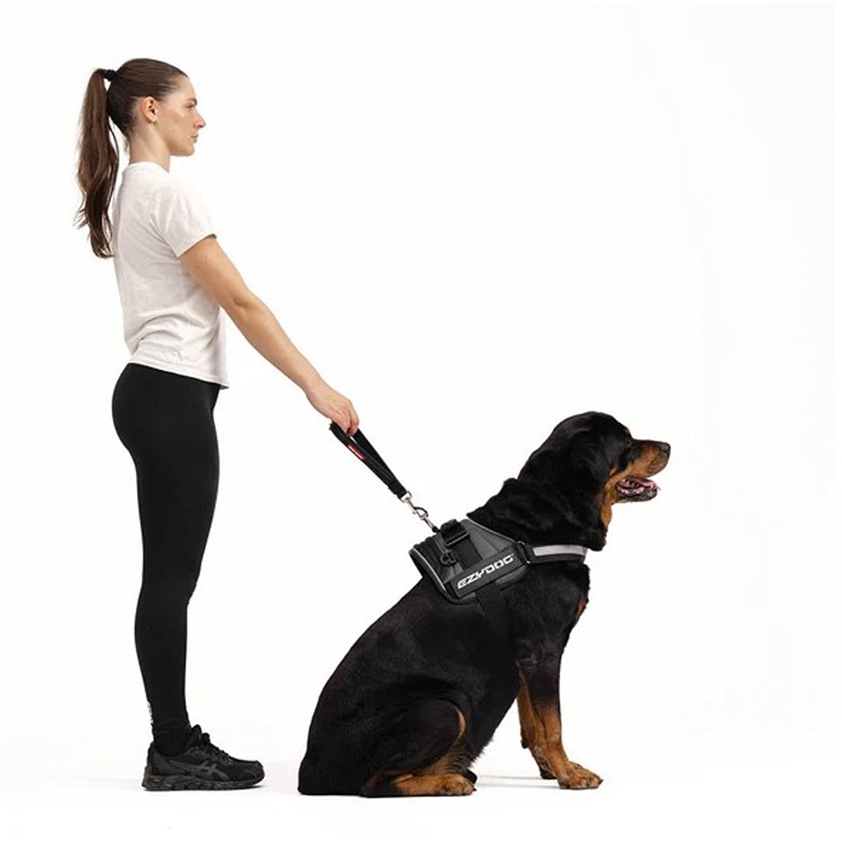 EzyDog Mongrel NEO Lead