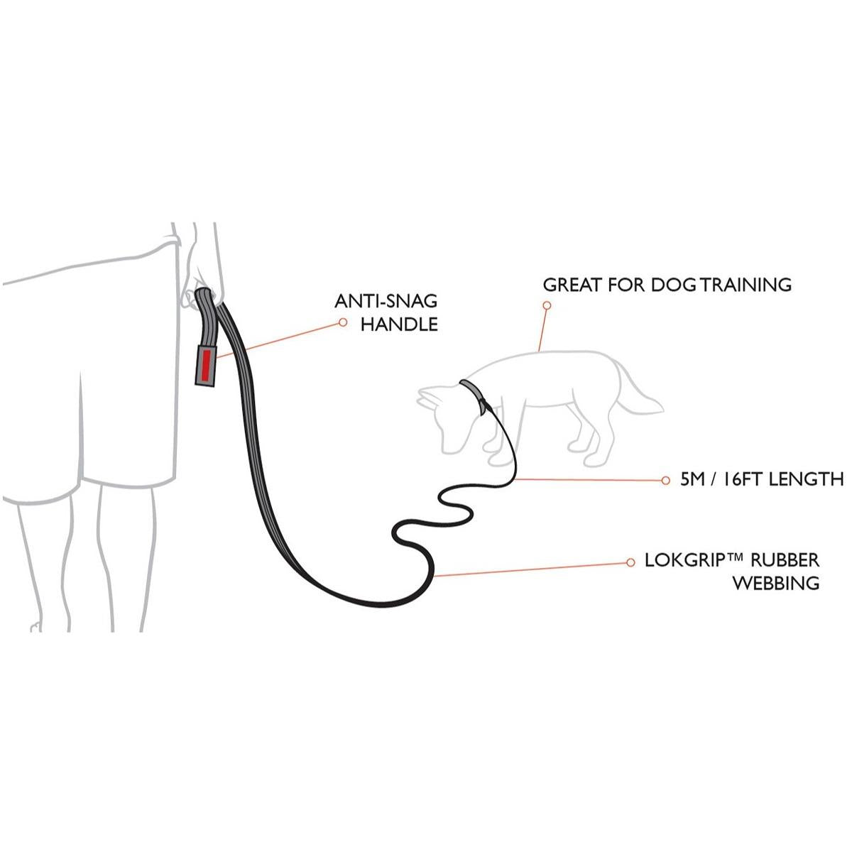 EzyDog Track N Train Leash