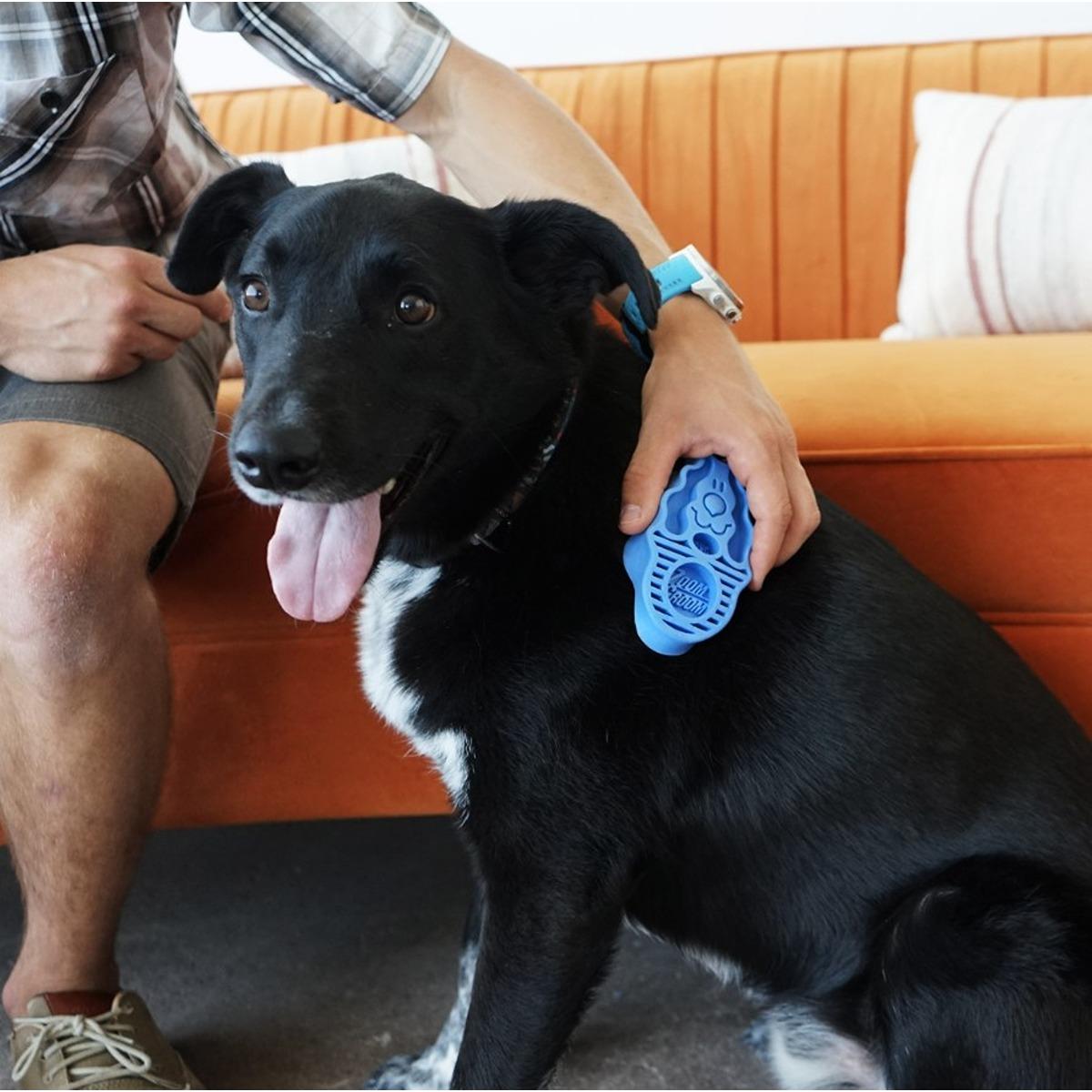 KONG ZoomGroom Dog Brush