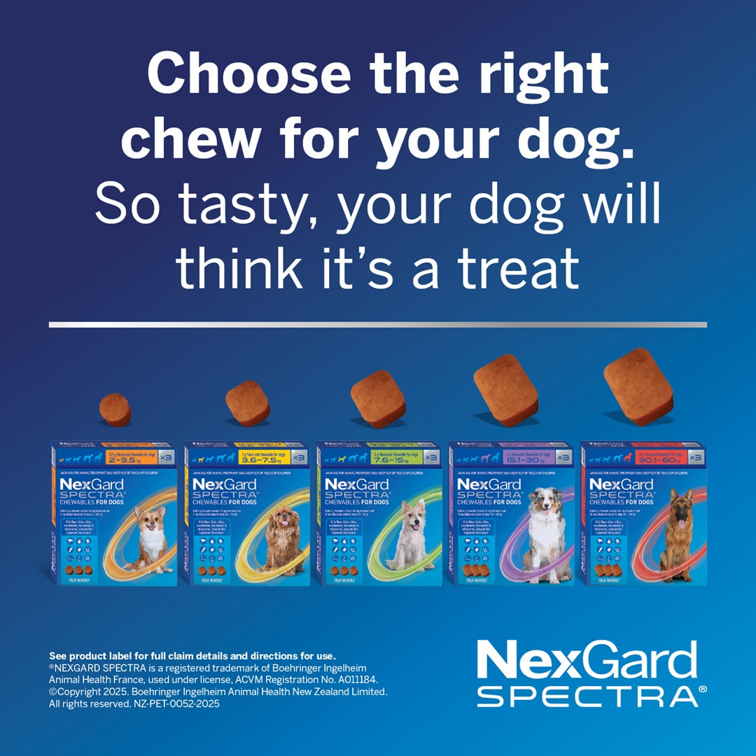 NexGard Spectra Flea & Tick Chew Extra Small Dogs Under 3.5kg