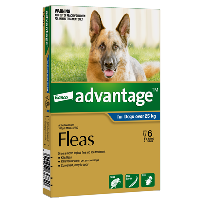 Advantage Spot-On Flea Treatment for Large Dogs 25kg+