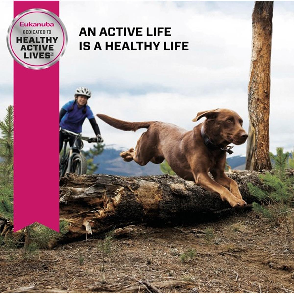 Eukanuba Large Breed Adult Dry Dog Food