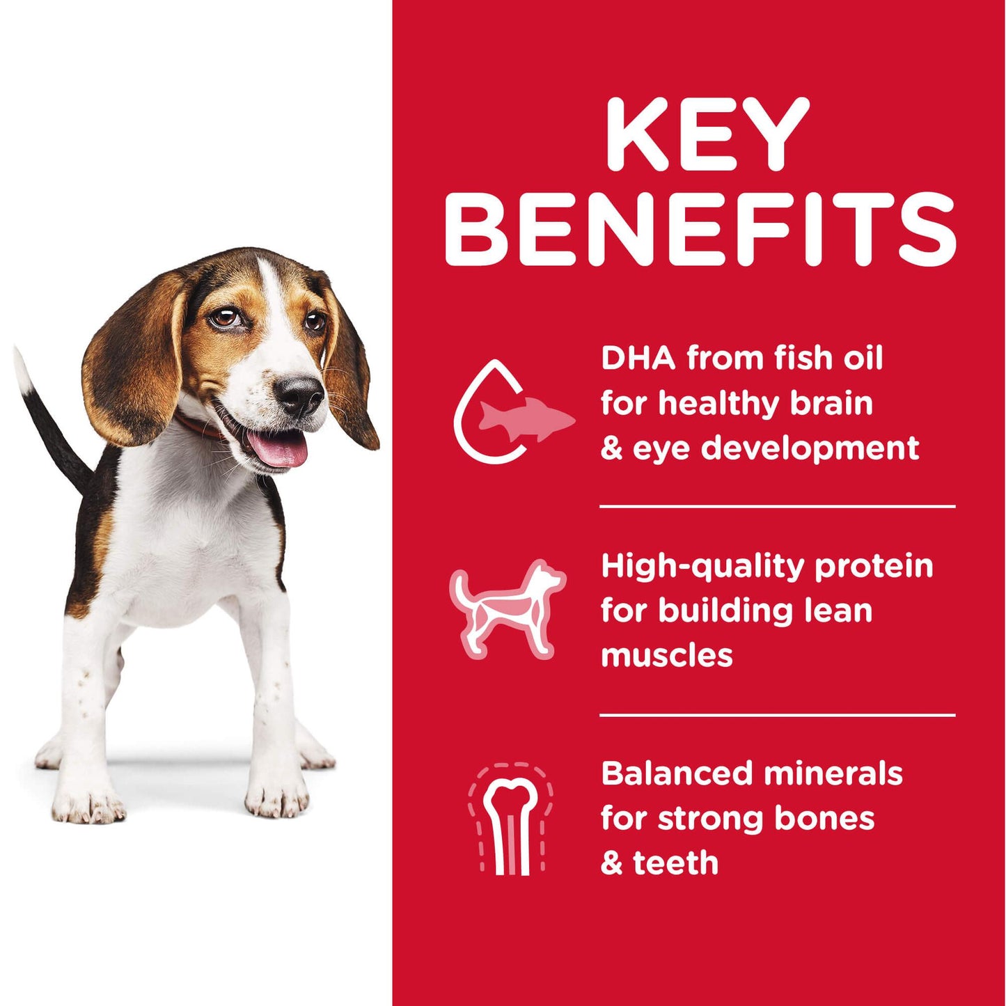 Hill's Science Diet Puppy Dry Dog Food
