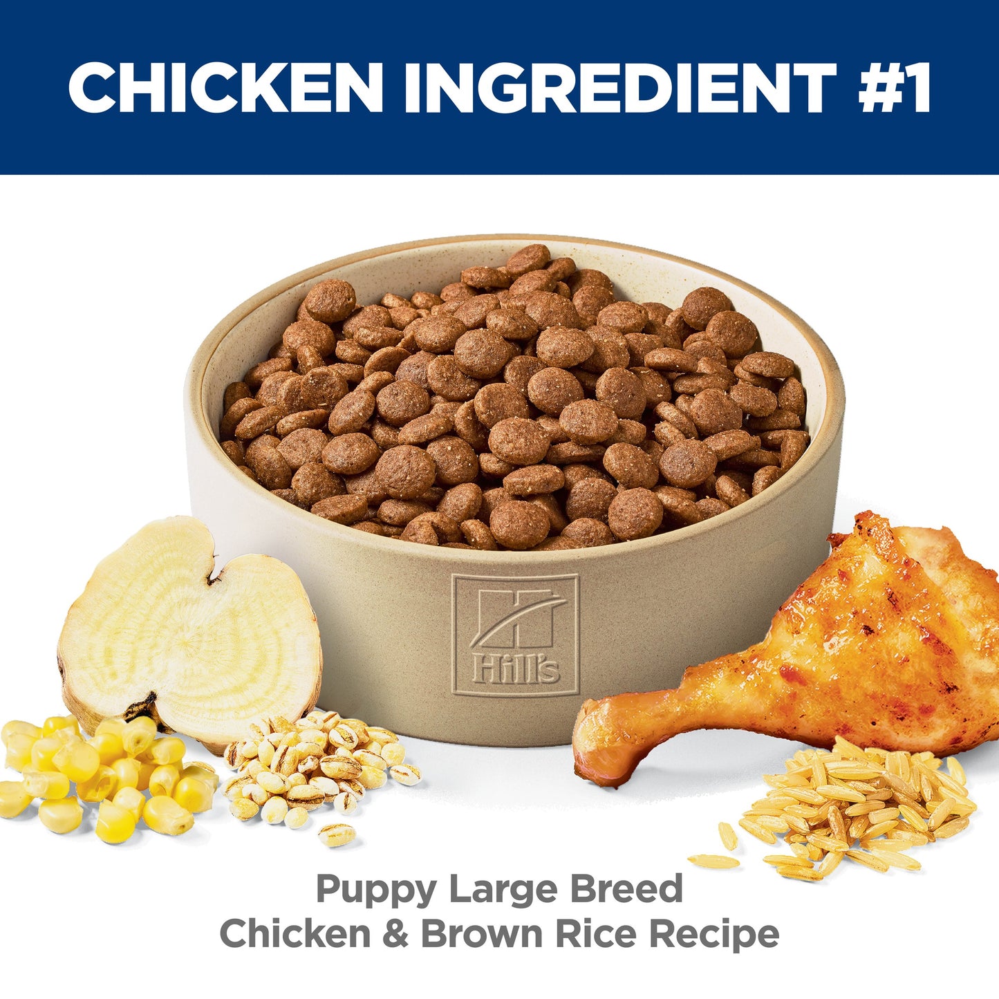 Hill's Science Diet Puppy Large Breed Dry Dog Food