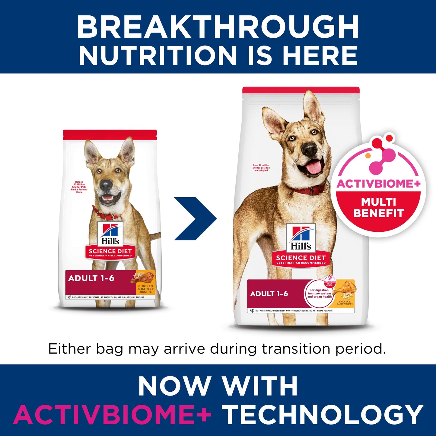 Hill's Science Diet Adult Dry Dog Food