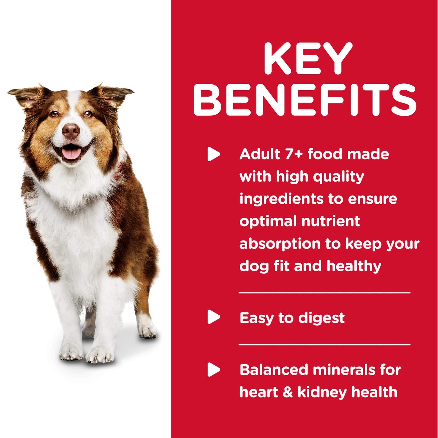 Hill's Science Diet Adult 7+ Savory Stew Beef & Vegetables Canned Wet Dog Food
