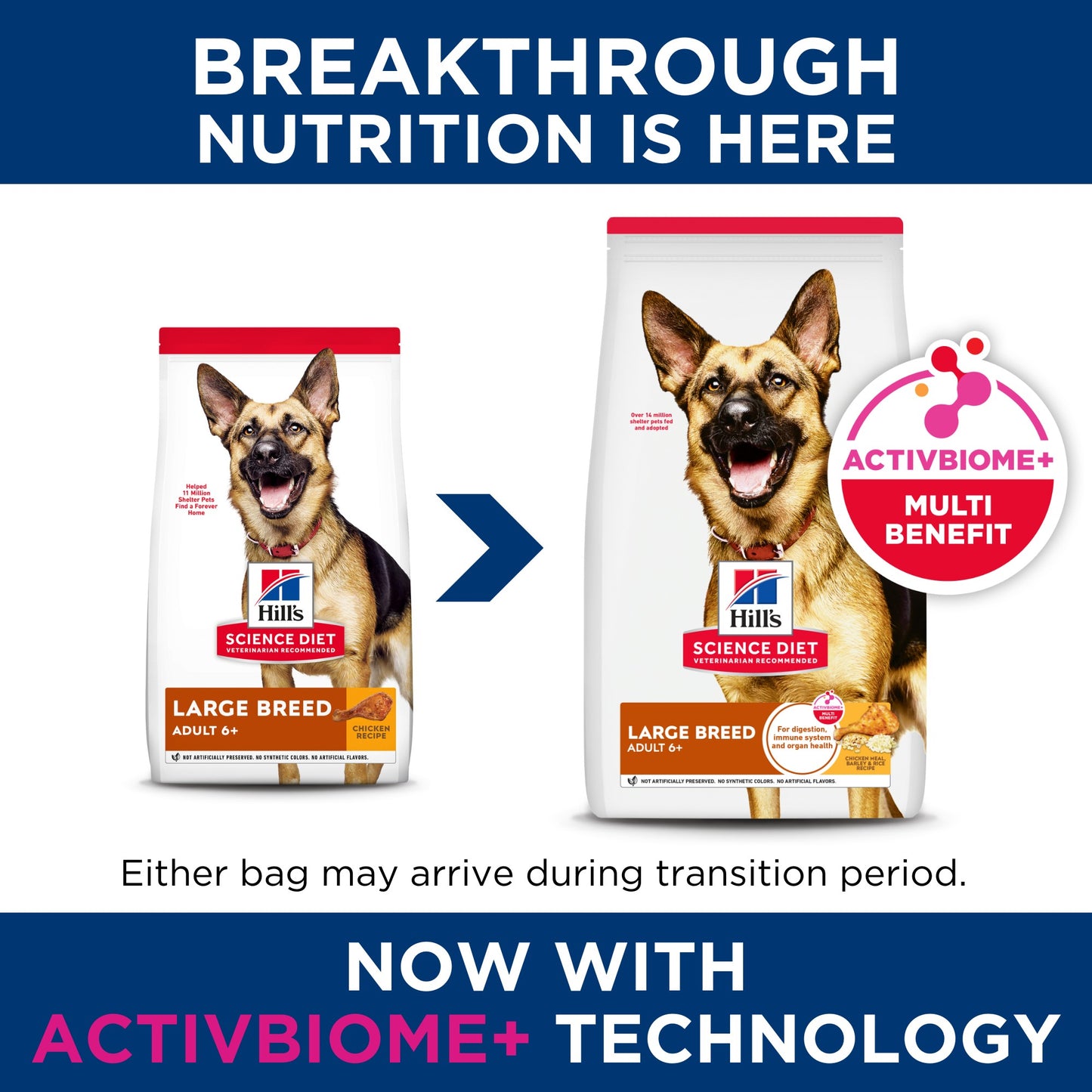 Hill's Science Diet 6+ Large Breed Dry Dog Food