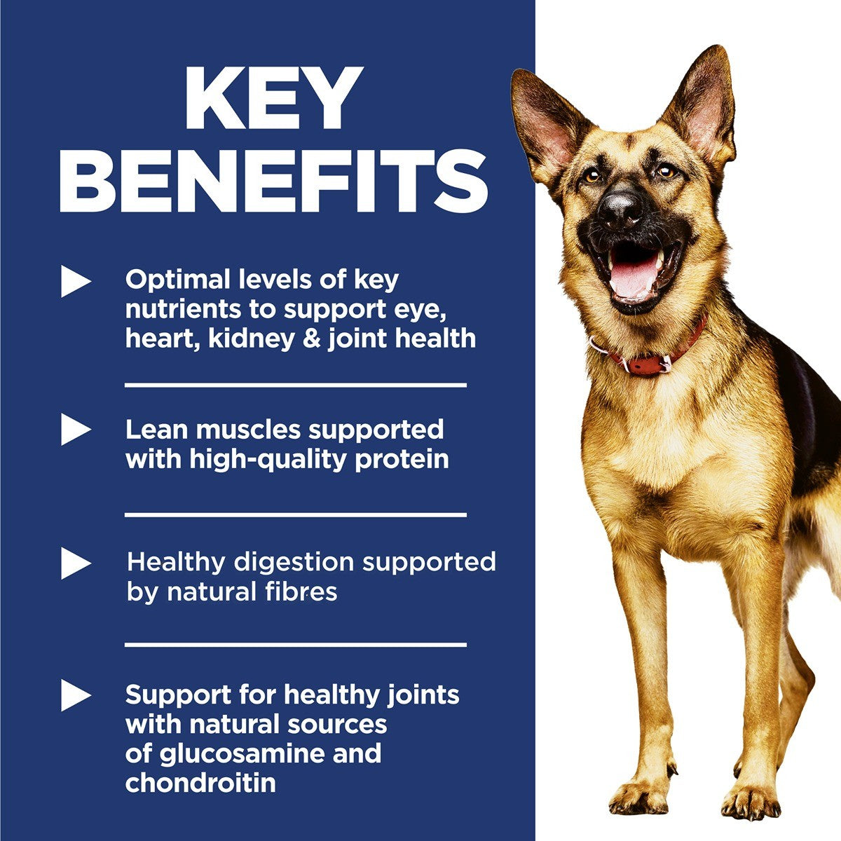 Hill's Science Diet 6+ Large Breed Dry Dog Food
