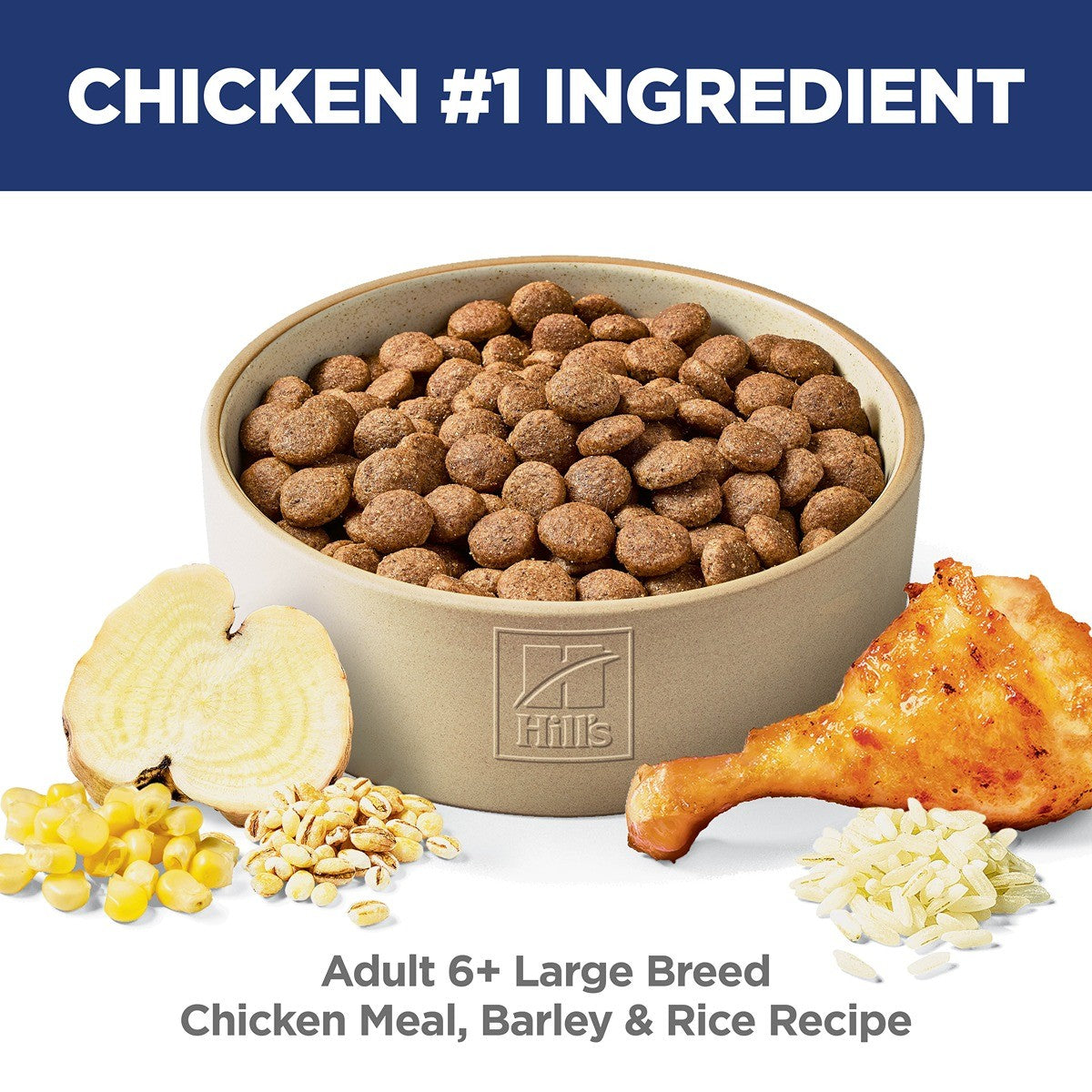 Hill's Science Diet 6+ Large Breed Dry Dog Food