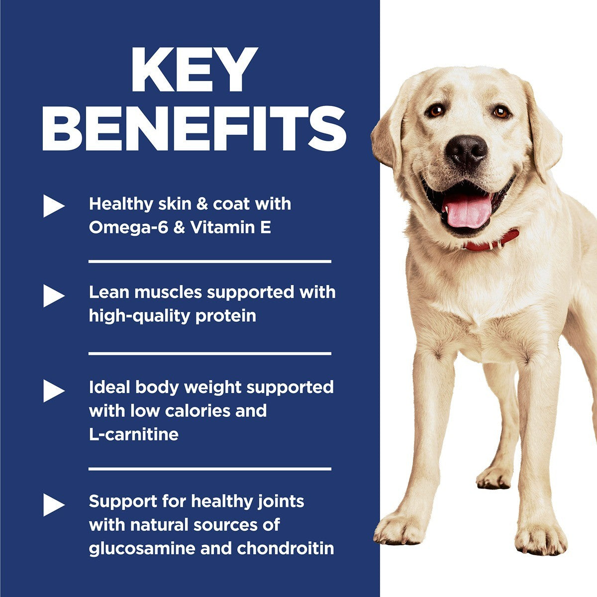 Hill's Science Diet Large Breed Light Dry Dog Food