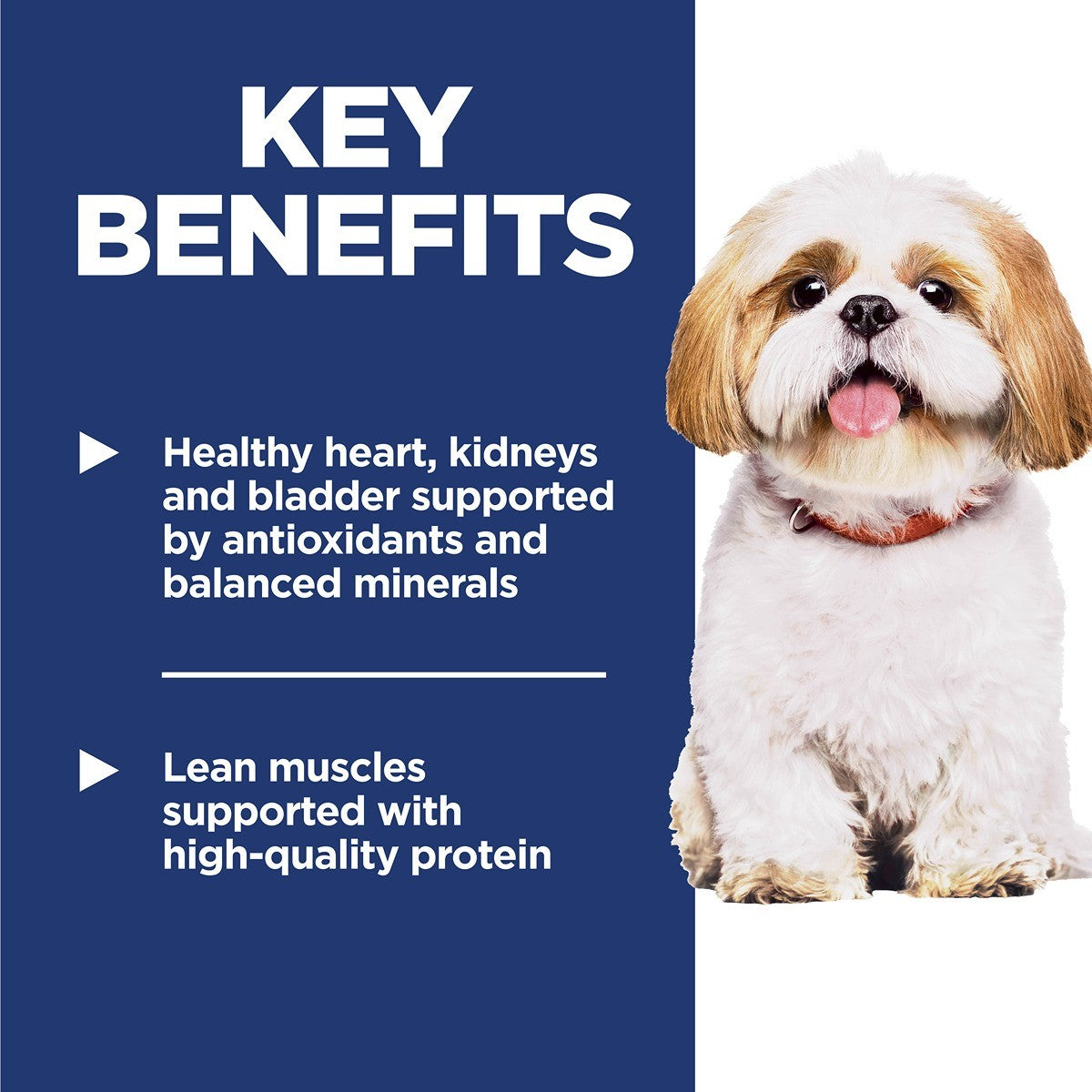 Hill's Science Diet 7+ Small Bites Dry Dog Food