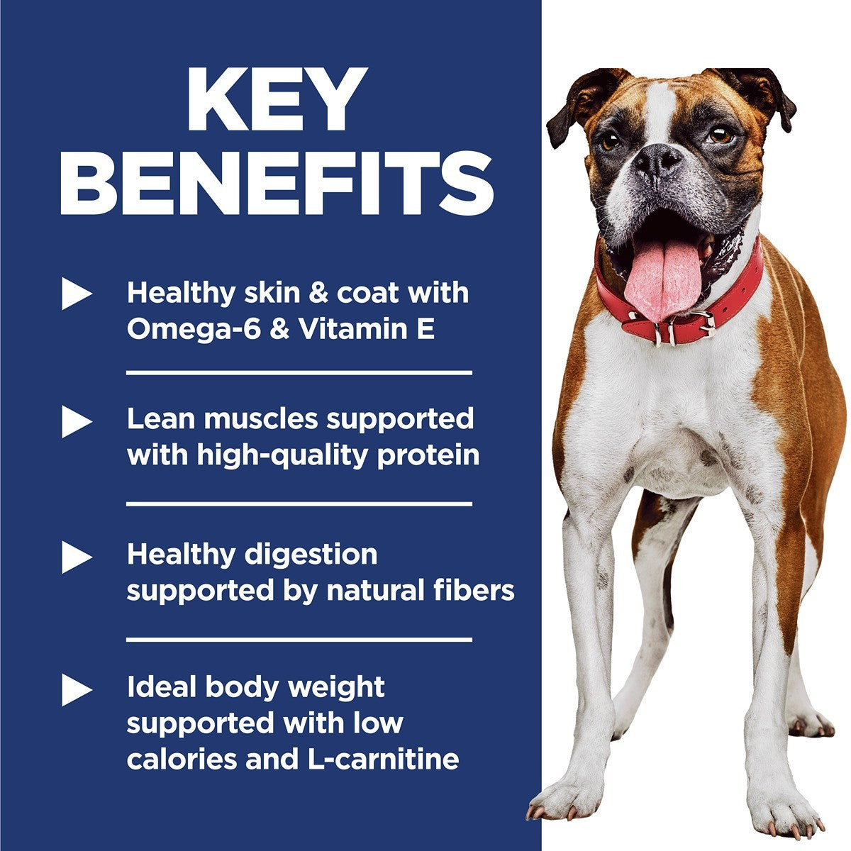 Hill's Science Diet Adult Light Dry Dog Food