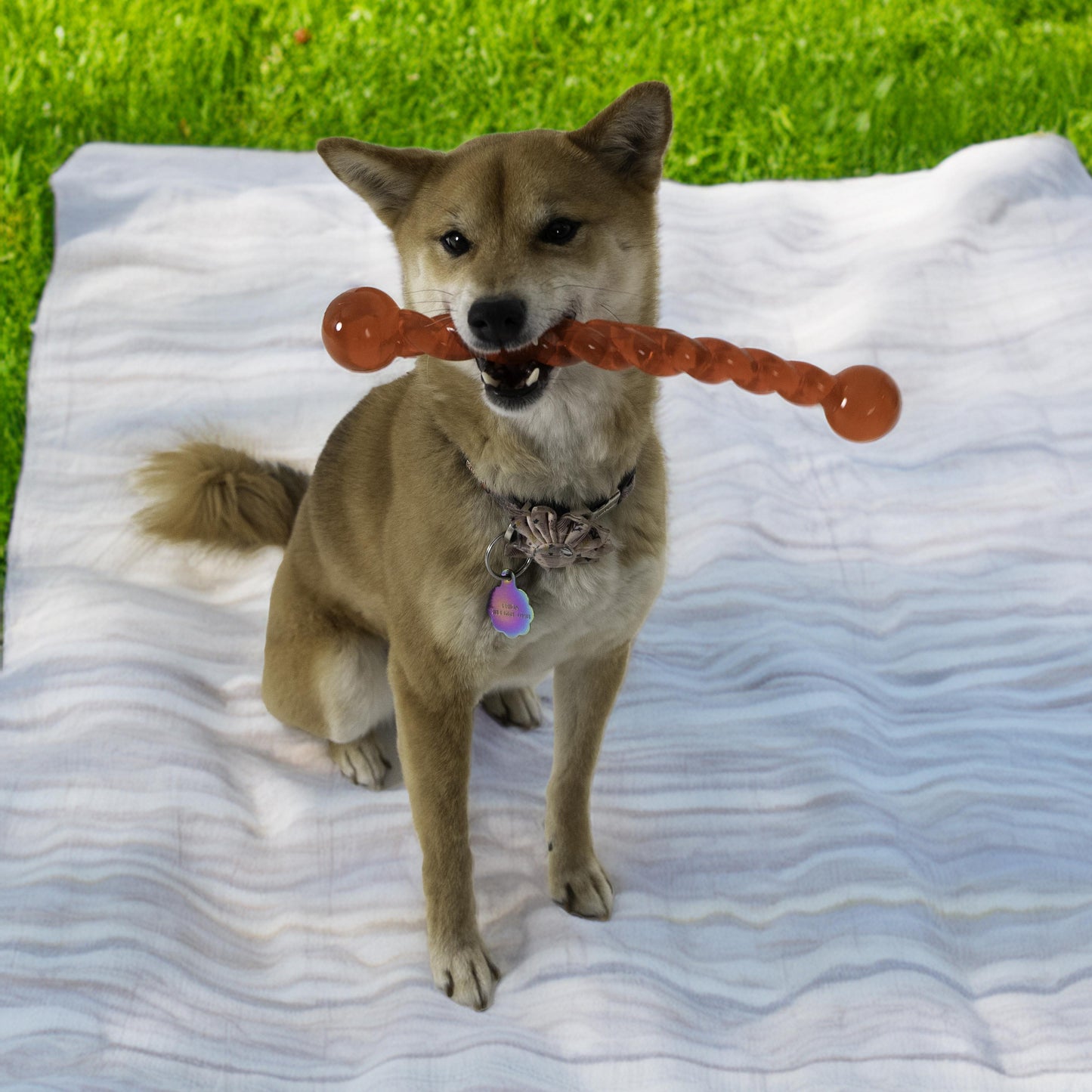 Kong Safestix Dog Toy