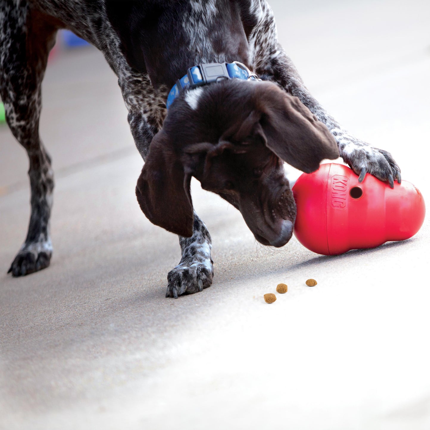 KONG Wobbler Dog Toy & Feeder
