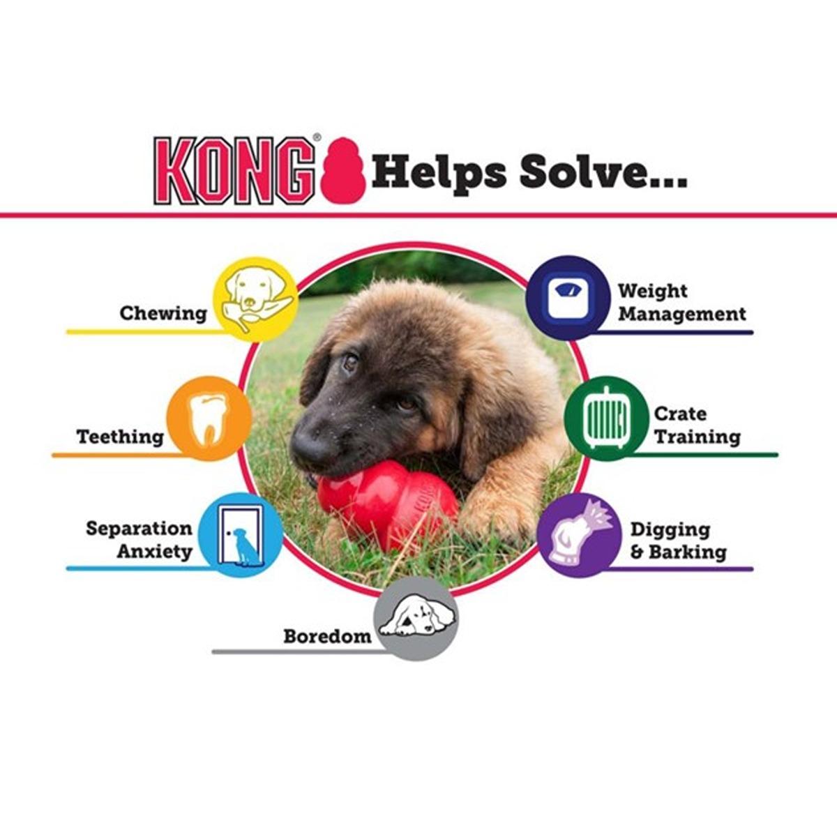Kong Classic Dog Toy