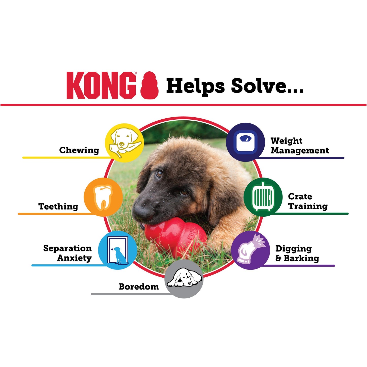 Kong Extreme Classic Dog Toy