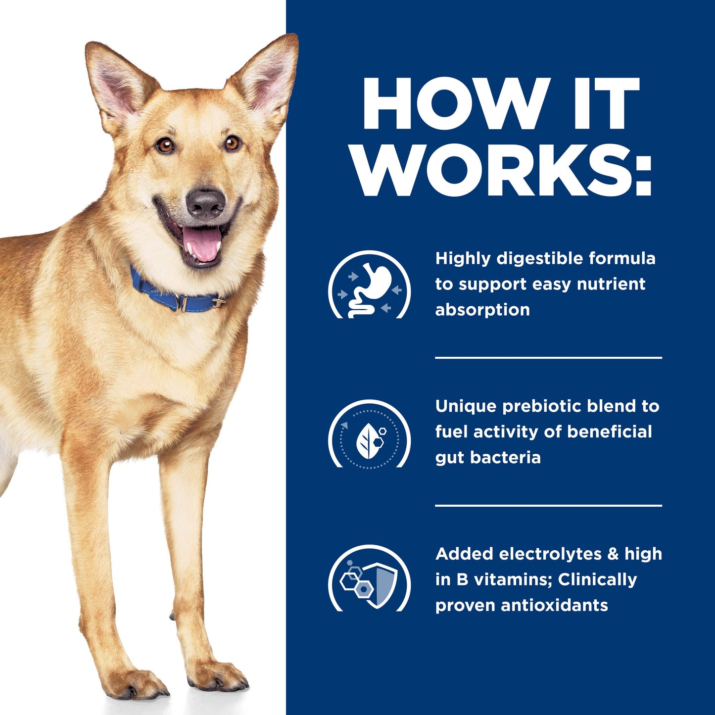 Hill's Prescription Diet i/d Digestive Care Chicken Dry Dog Food