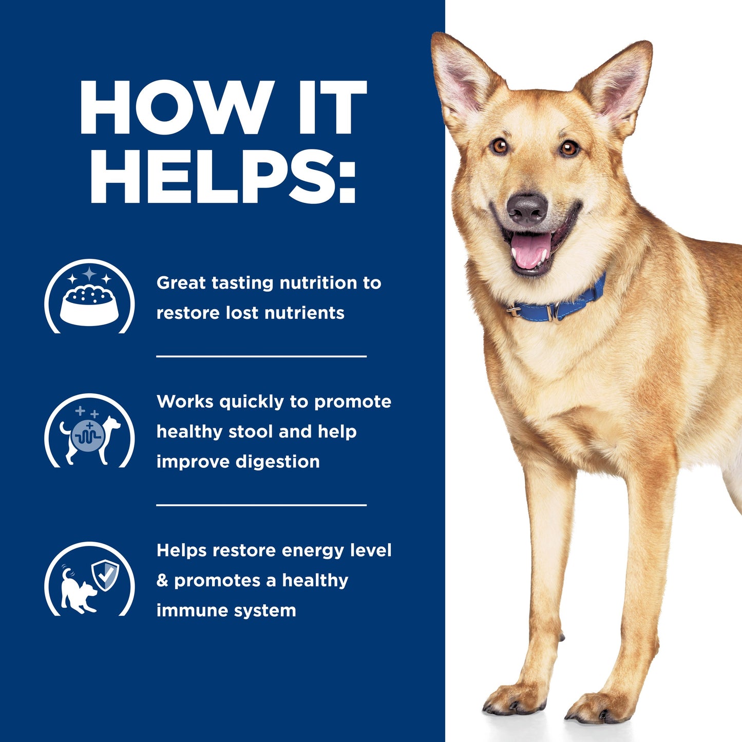 Hill's Prescription Diet i/d Digestive Care Chicken Dry Dog Food