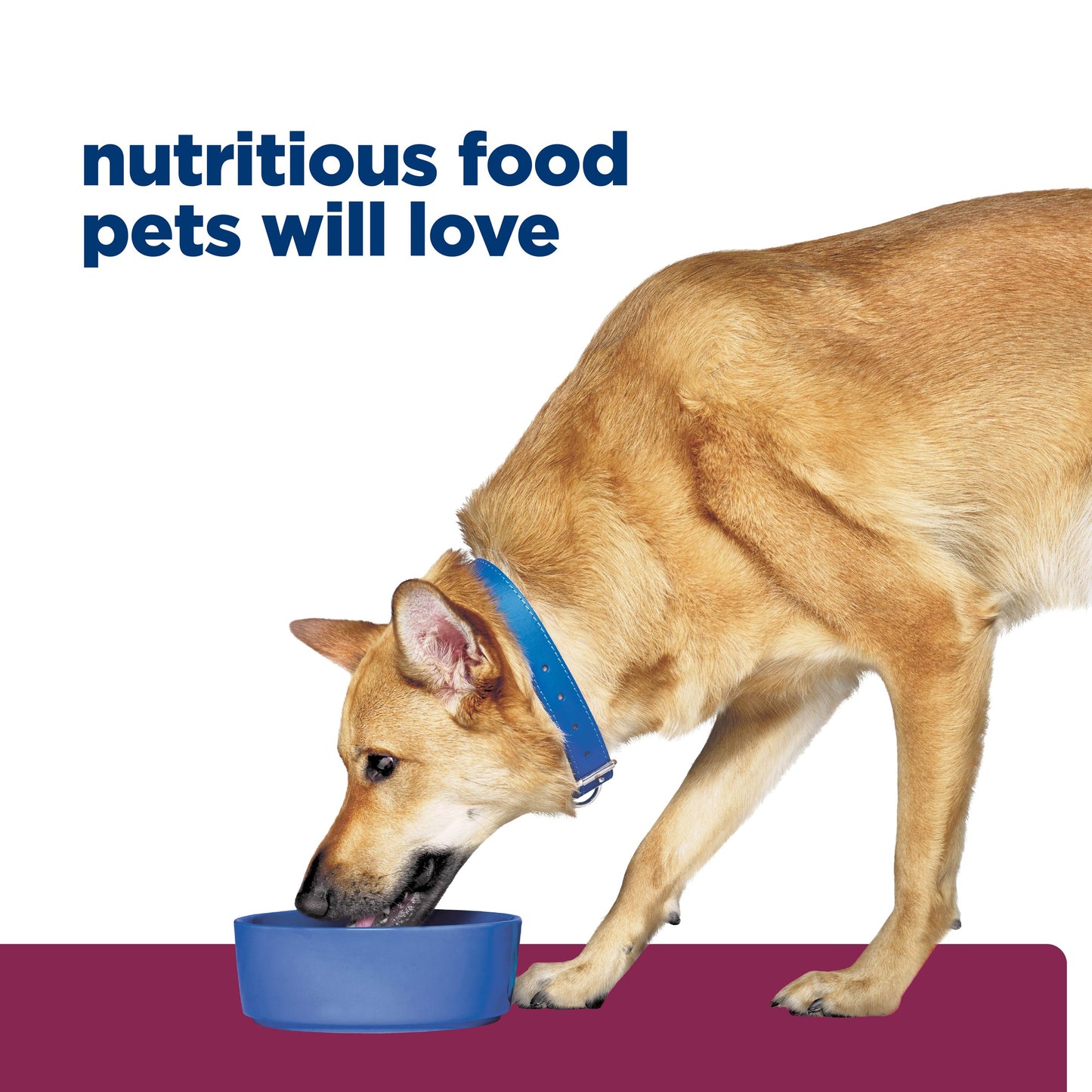 Hill's Prescription Diet i/d Digestive Care Chicken Dry Dog Food