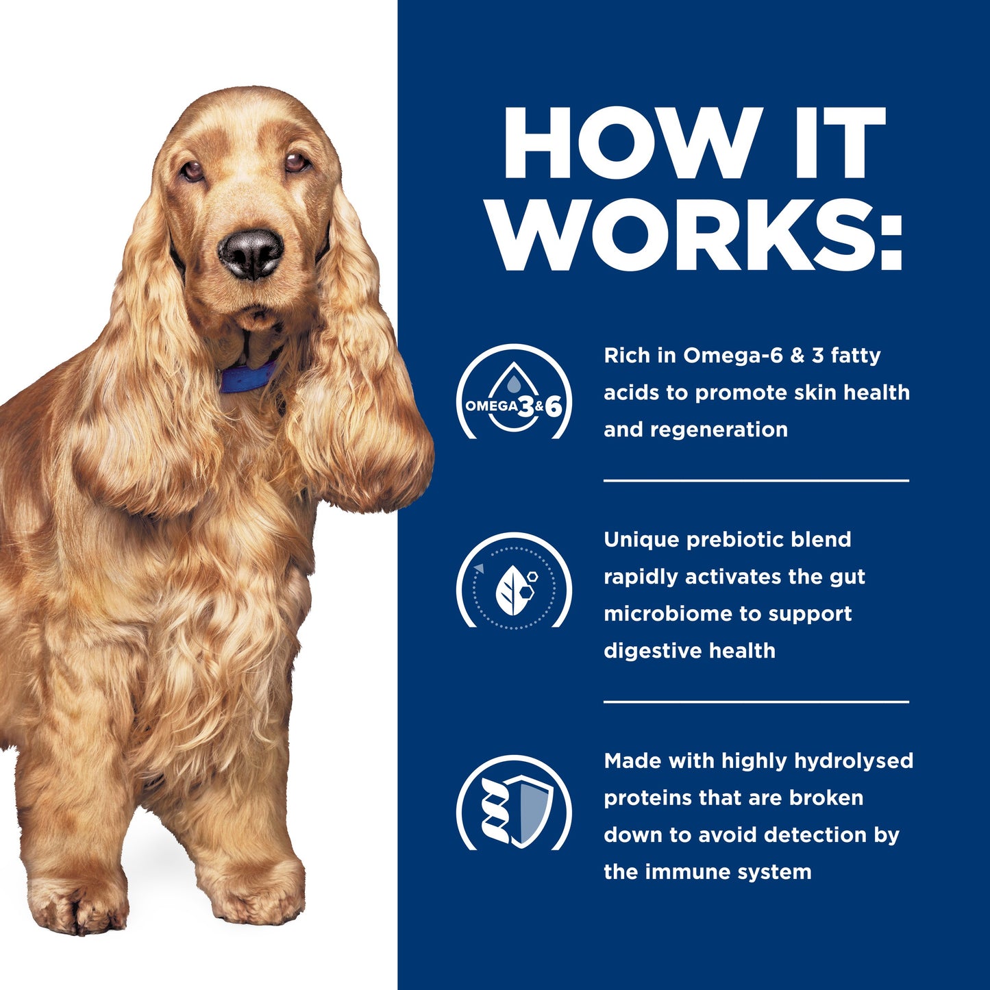 Hill's Prescription Diet z/d Skin/Food Sensitivities Original Dry Dog Food