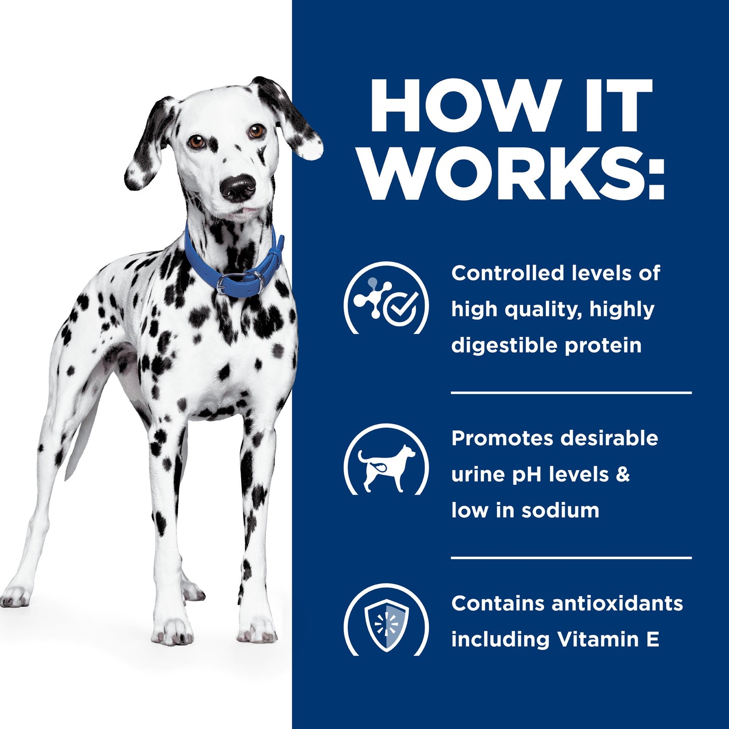 Hill's Prescription Diet u/d Urinary Care Original Dry Dog Food