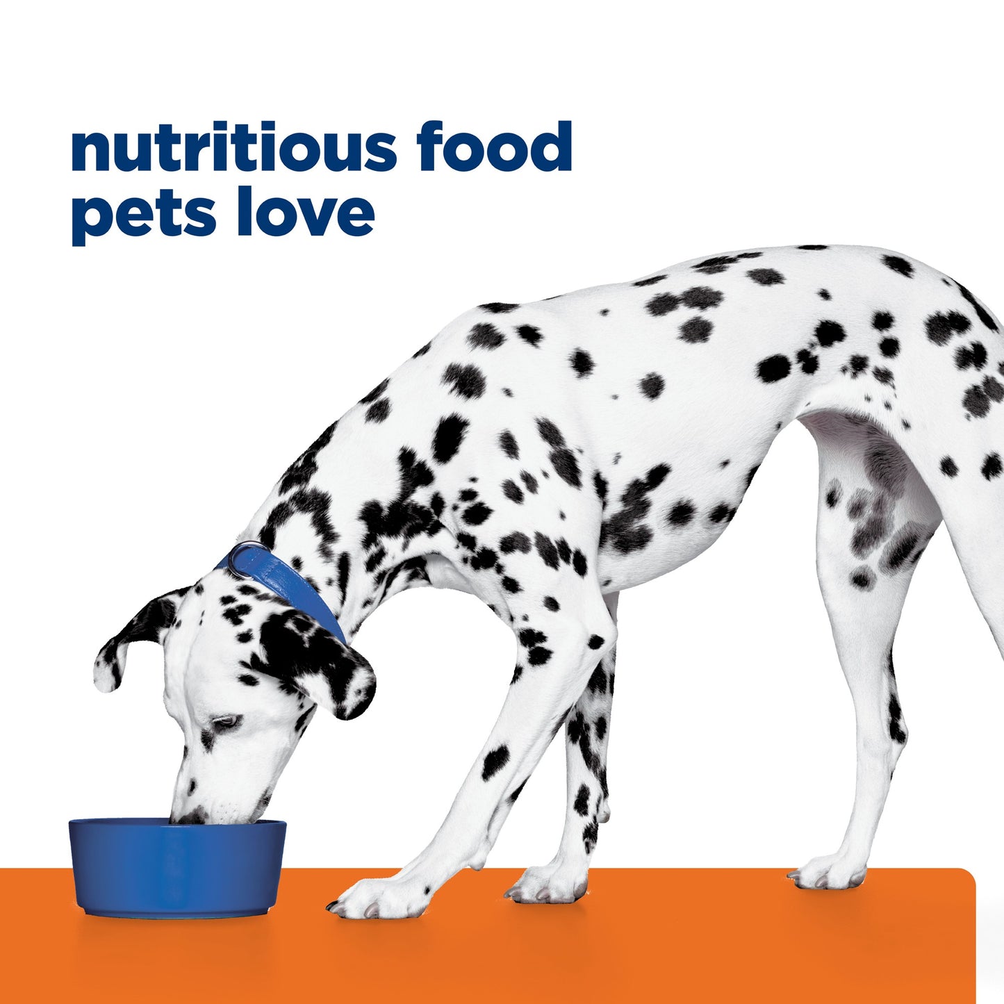 Hill's Prescription Diet u/d Urinary Care Original Dry Dog Food