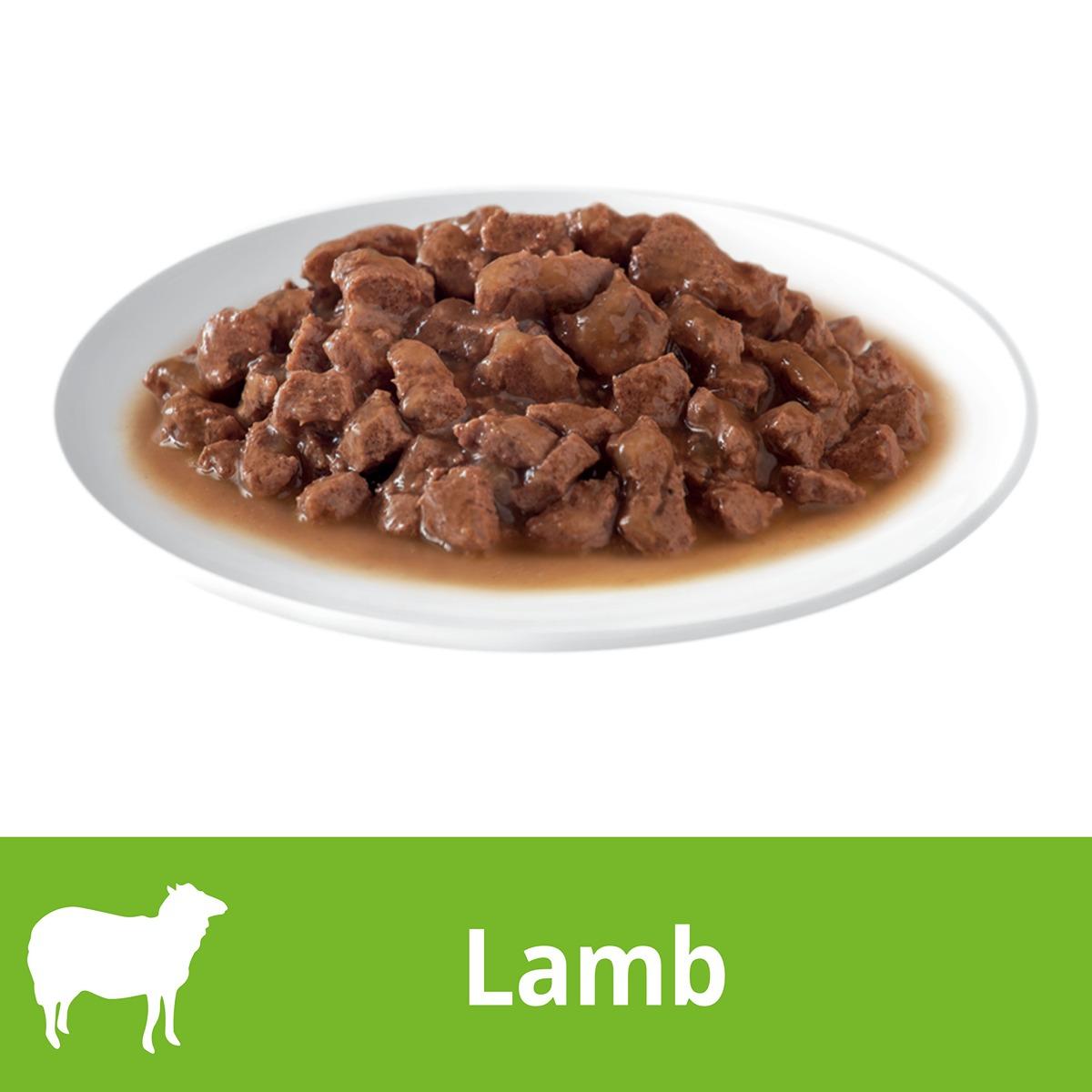 Dine Cuts In Gravy With Lamb Wet Cat Food