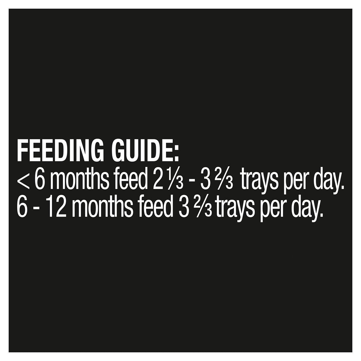 Dine Tender Chicken Kitten Wet Cat Food